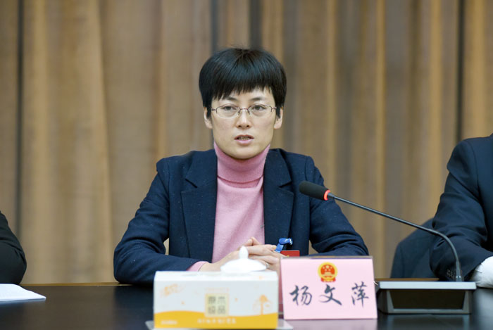 杨文萍参加县十八届人大一次会议第二代表团审议
